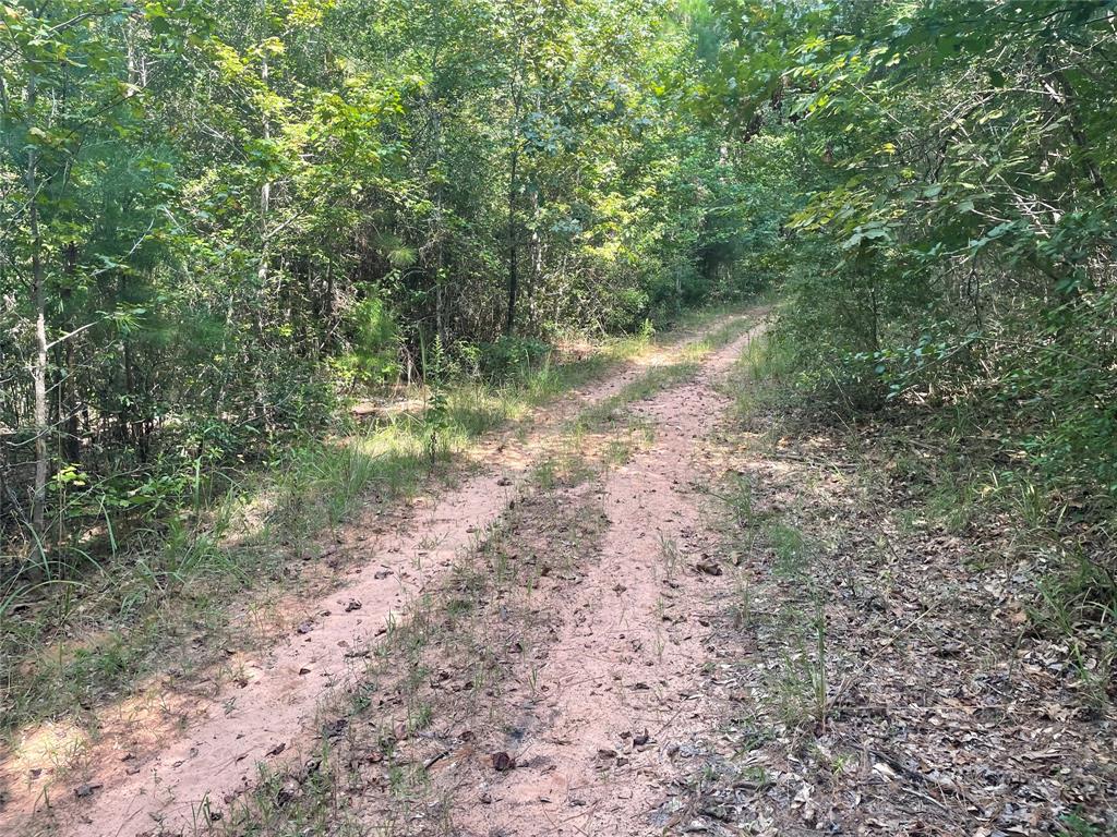 649 An County Road 1215 Property Photo 13
