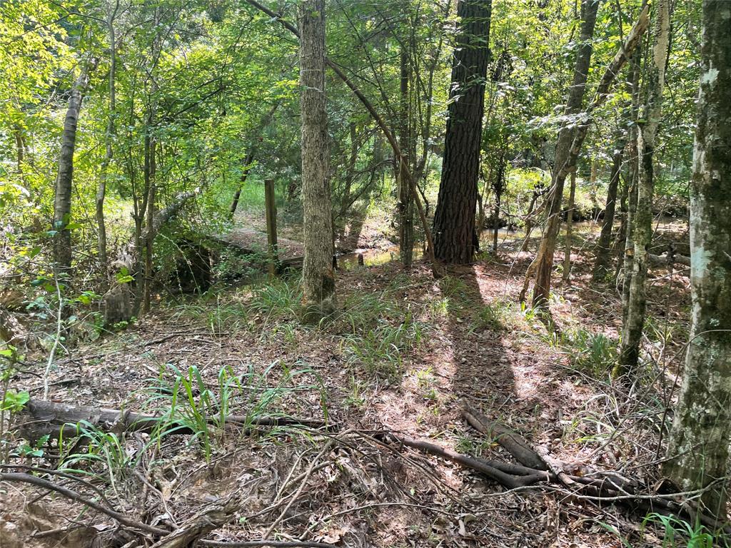 649 An County Road 1215 Property Photo 14