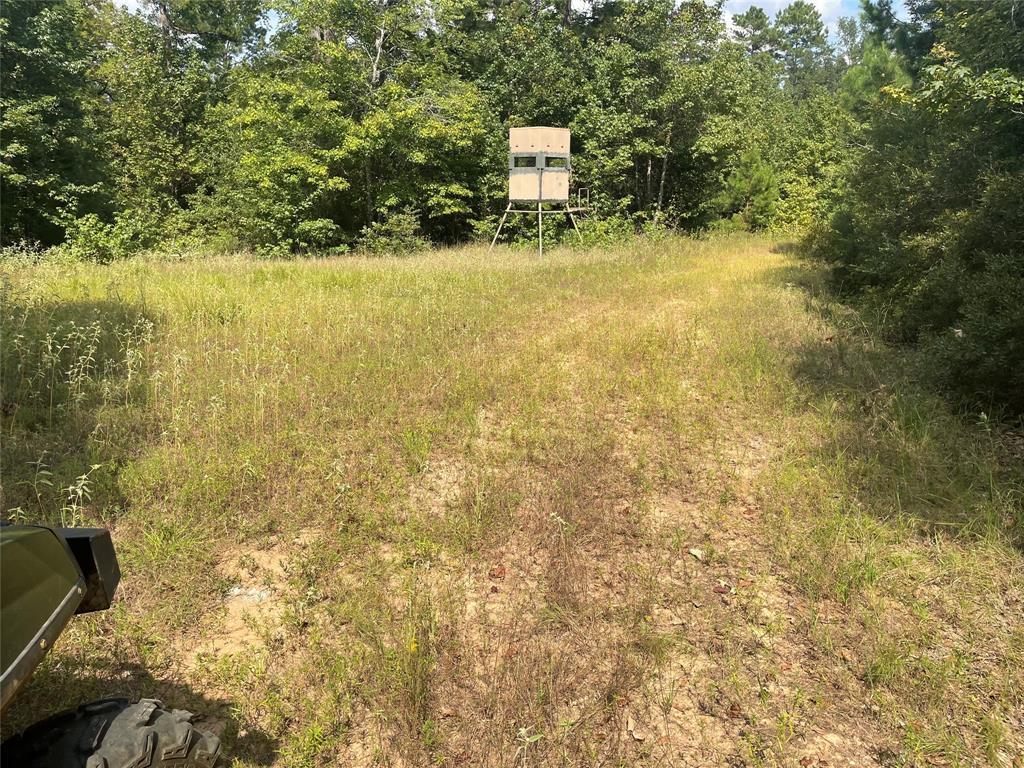 649 An County Road 1215 Property Photo 15
