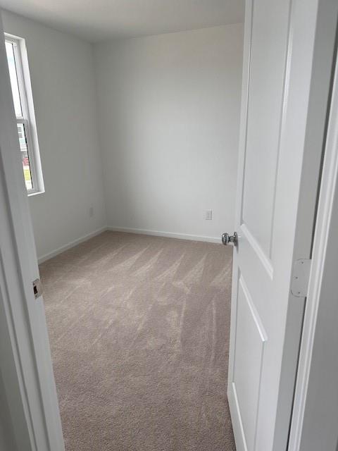 917 Grebe Drive Property Photo 19
