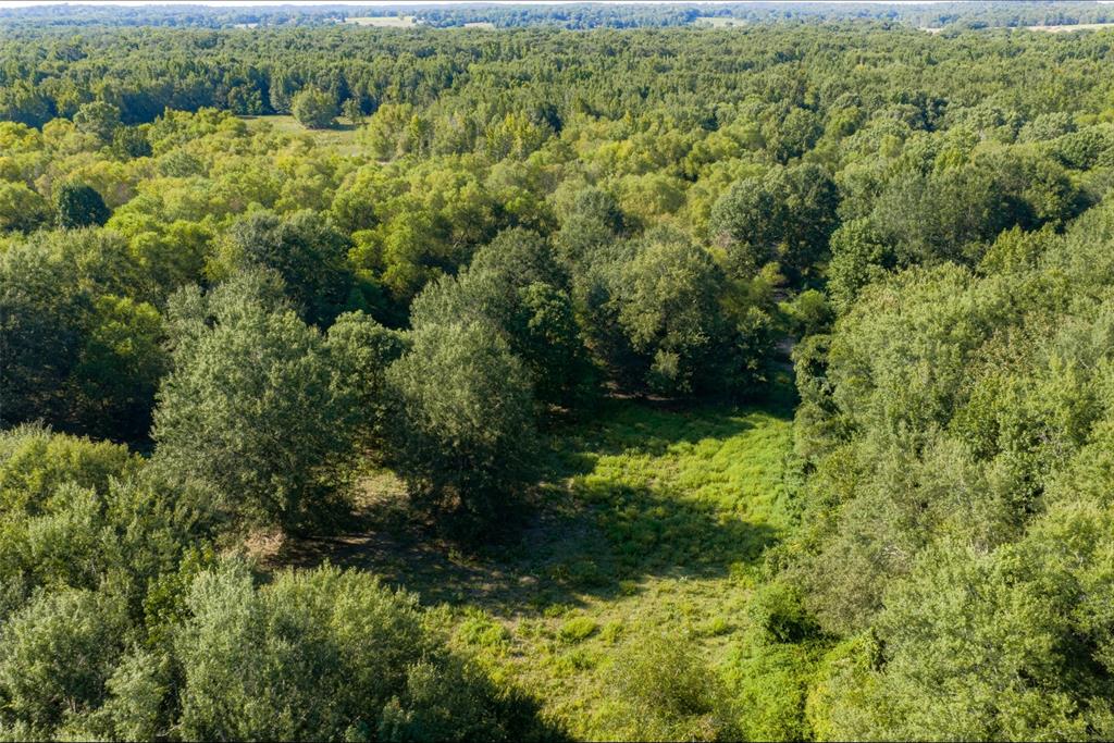 0 Cr-3516 Property Photo 14