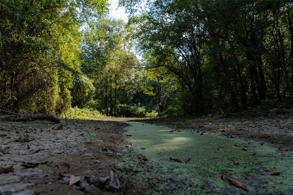 0 Cr-3516 Property Photo 15