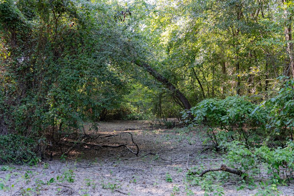 0 Cr-3516 Property Photo 16