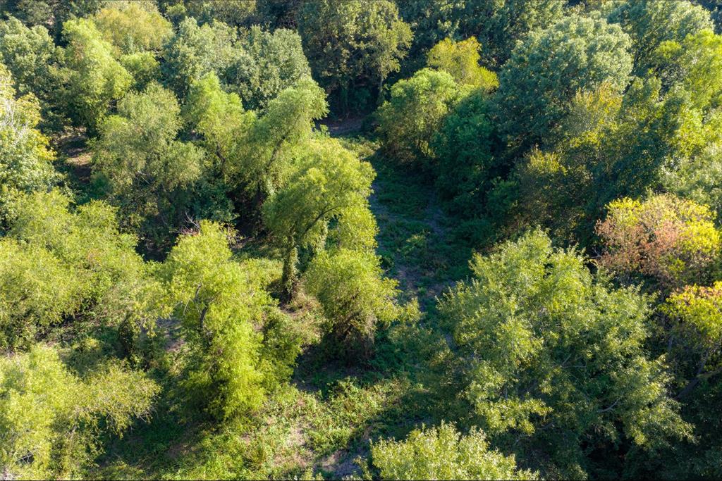 0 Cr-3516 Property Photo 28