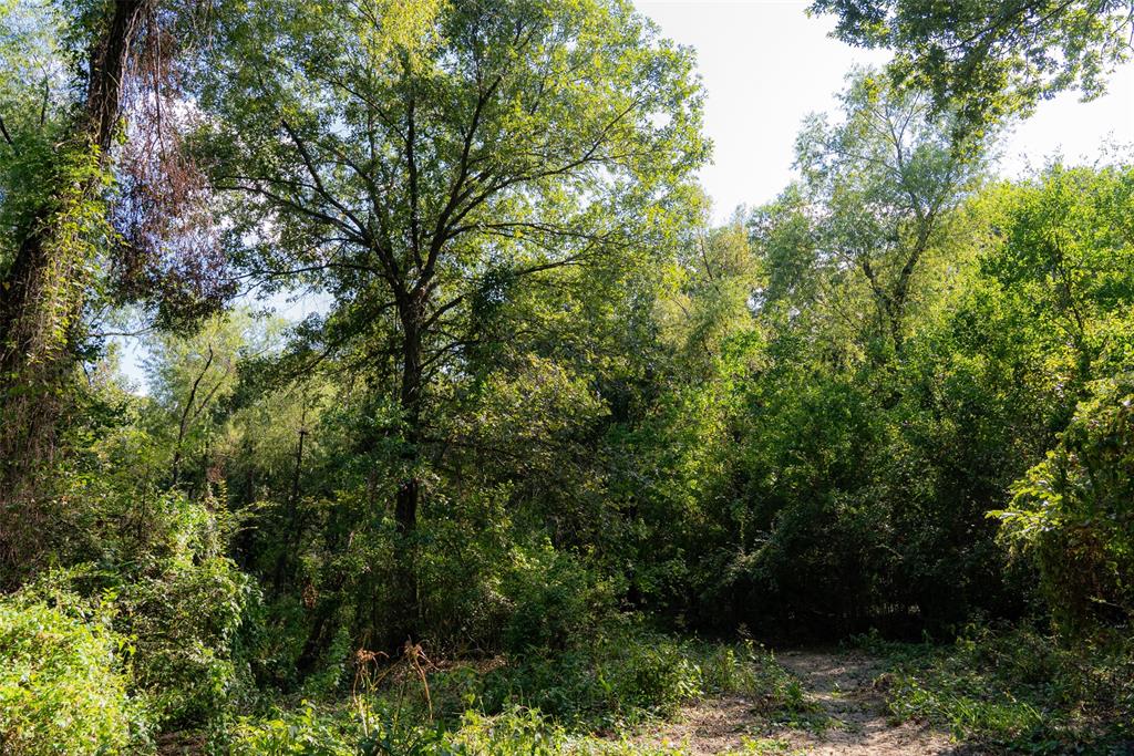 0 Cr-3516 Property Photo 32