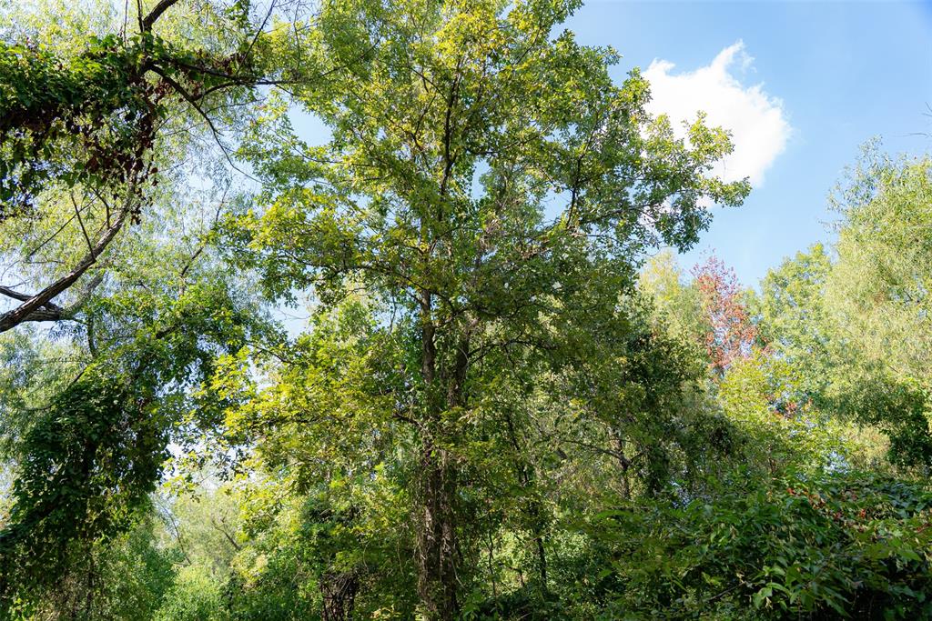 0 Cr-3516 Property Photo 33
