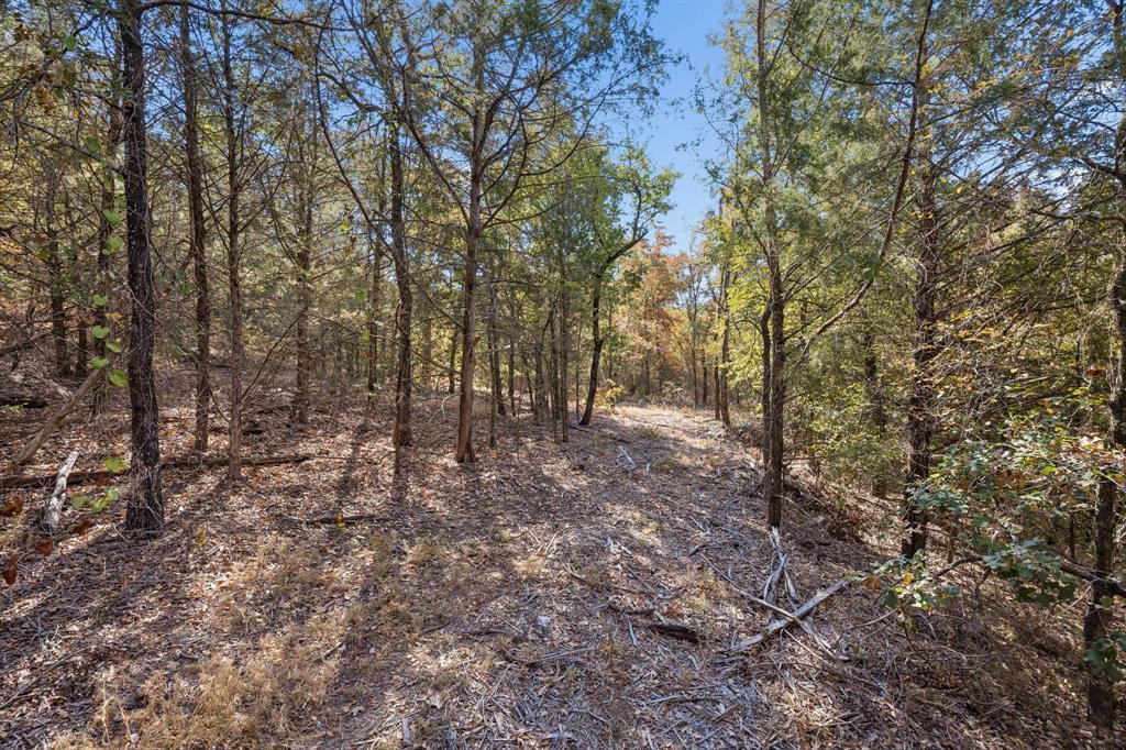 2301 Moseley (land) Road Property Photo 3
