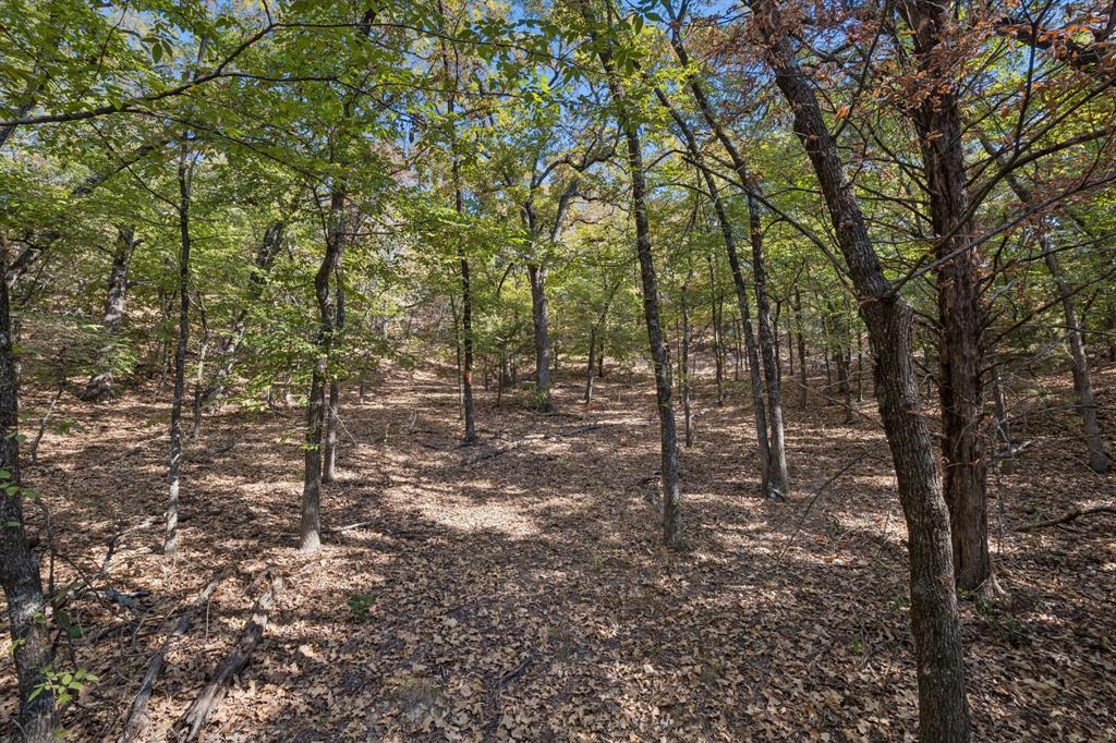 2301 Moseley (land) Road Property Photo 15