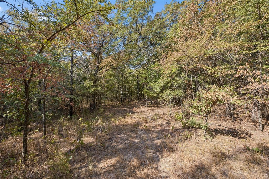 2301 Moseley (land) Road Property Photo 17