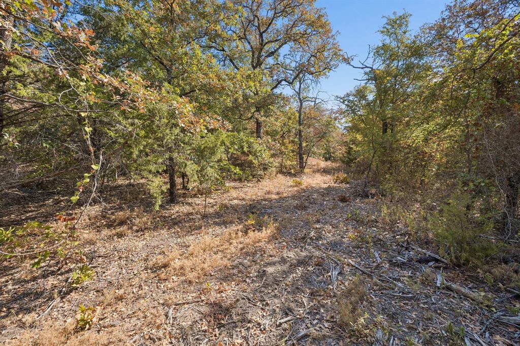 2301 Moseley (land) Road Property Photo 18