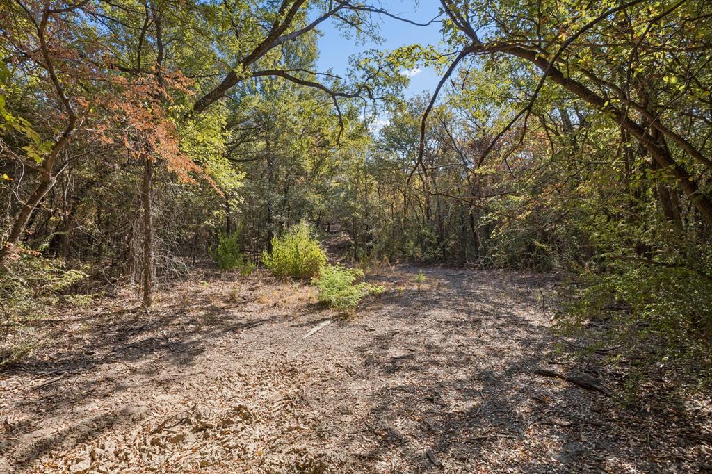 2301 Moseley (land) Road Property Photo 20