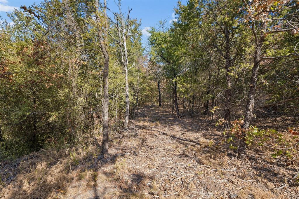 2301 Moseley (land) Road Property Photo 21