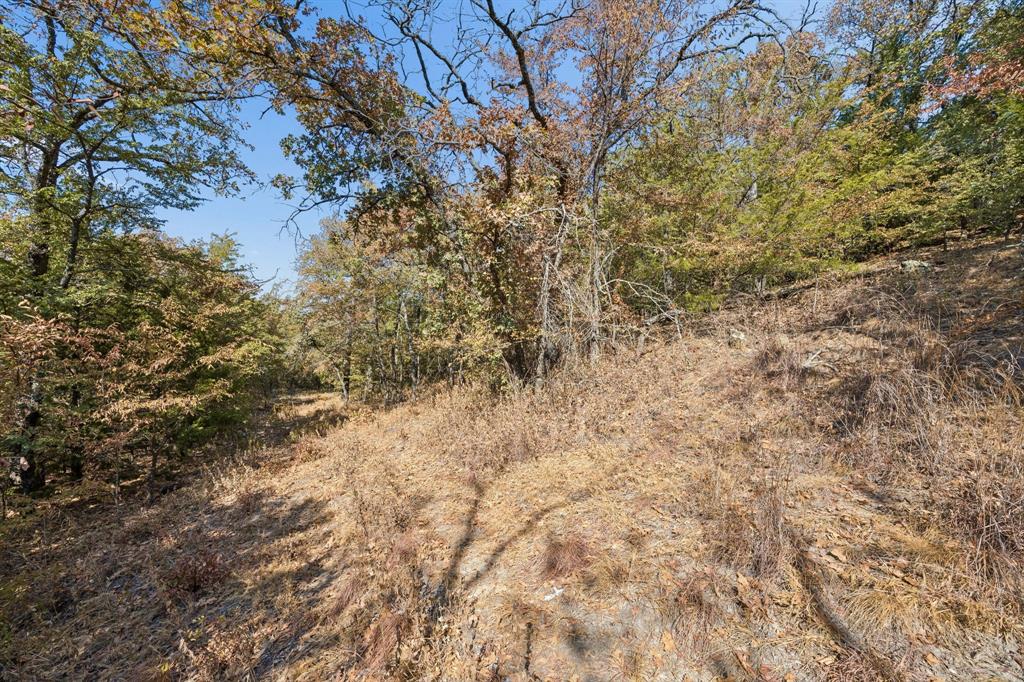 2301 Moseley (land) Road Property Photo 23