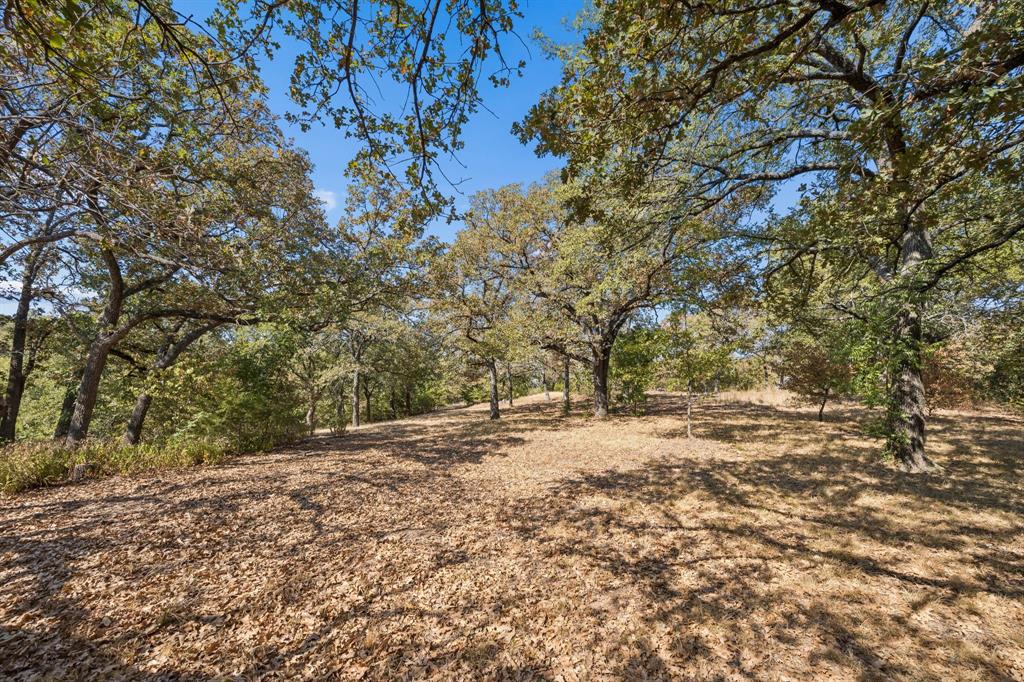 2301 Moseley (land) Road Property Photo 25