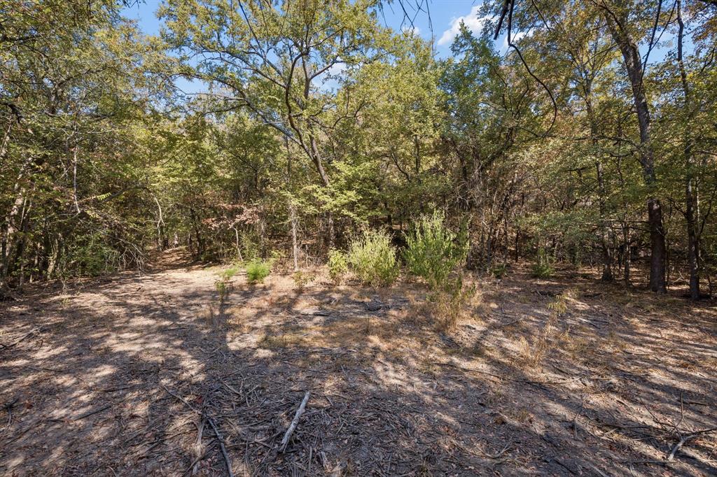 2301 Moseley (land) Road Property Photo 26