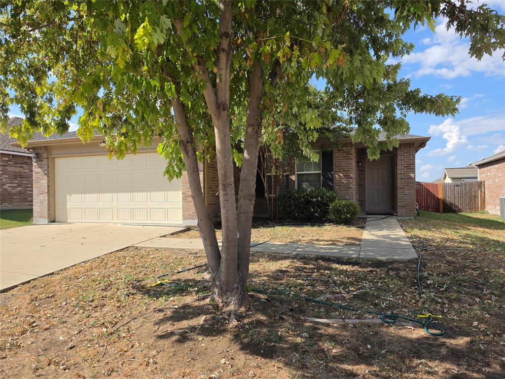 6012 Fantail Drive Property Photo 1