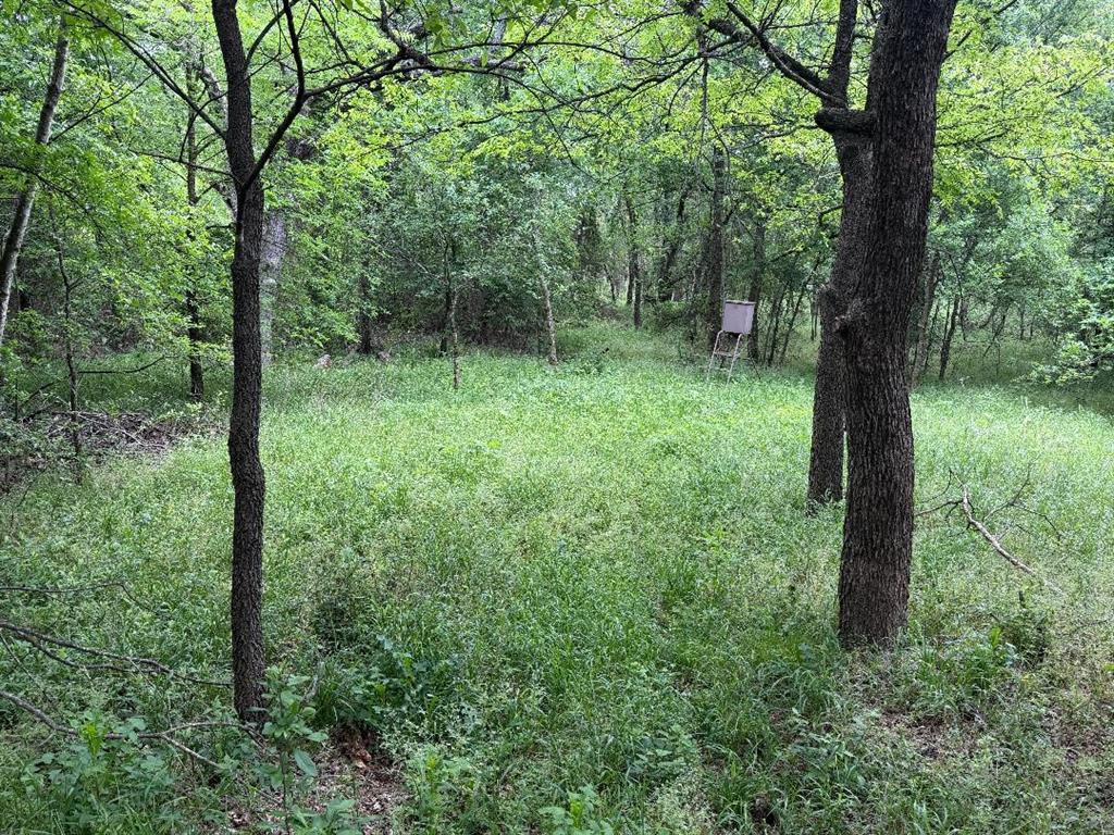 1980 Fm 933 Property Photo 8