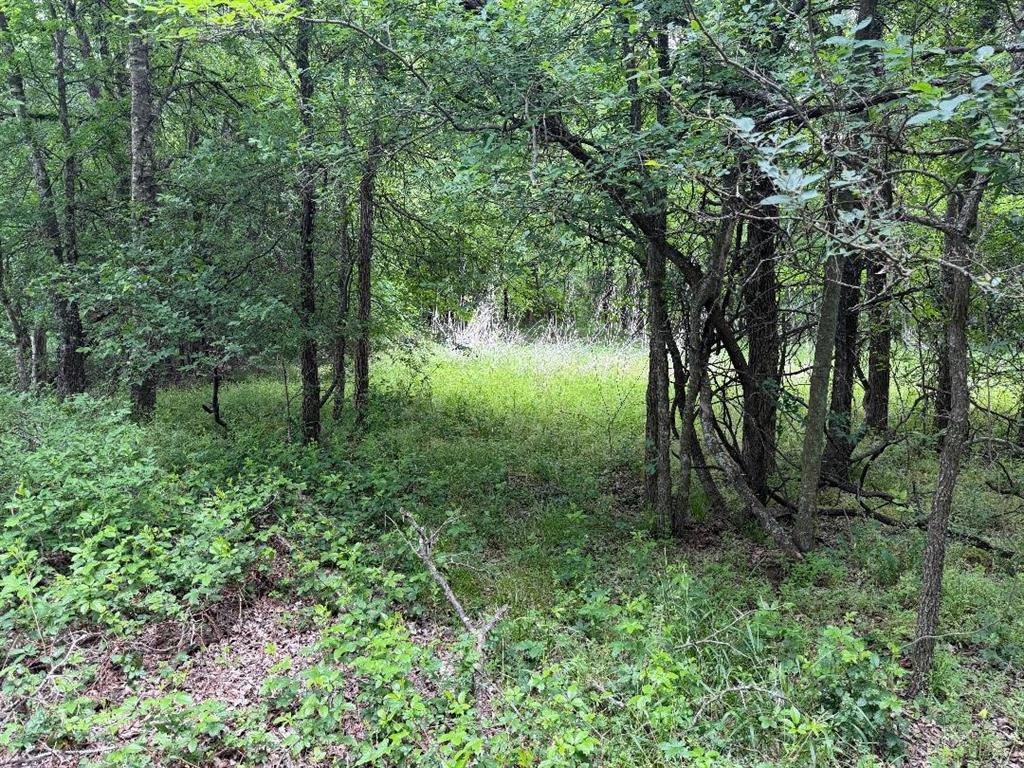 1980 Fm 933 Property Photo 9
