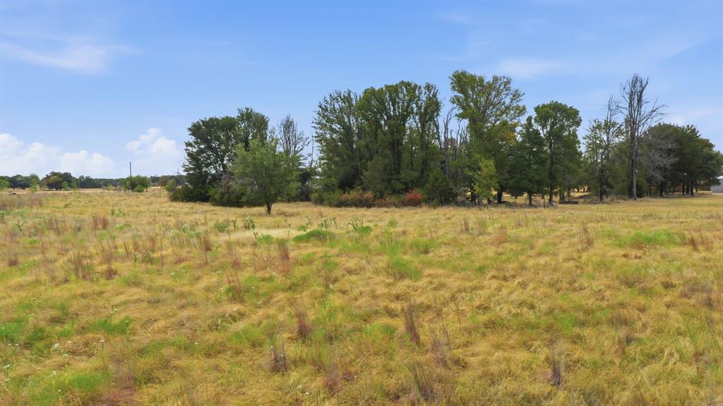 171 Jupiter Trail Property Photo 11