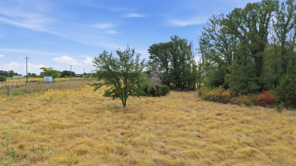 171 Jupiter Trail Property Photo 15
