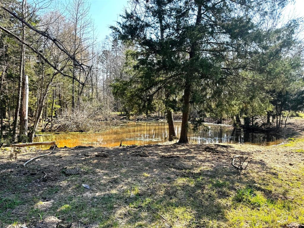Tbd Cr 3545 Property Photo 23
