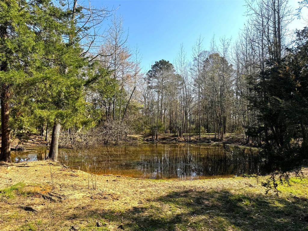 Tbd Cr 3545 Property Photo 24