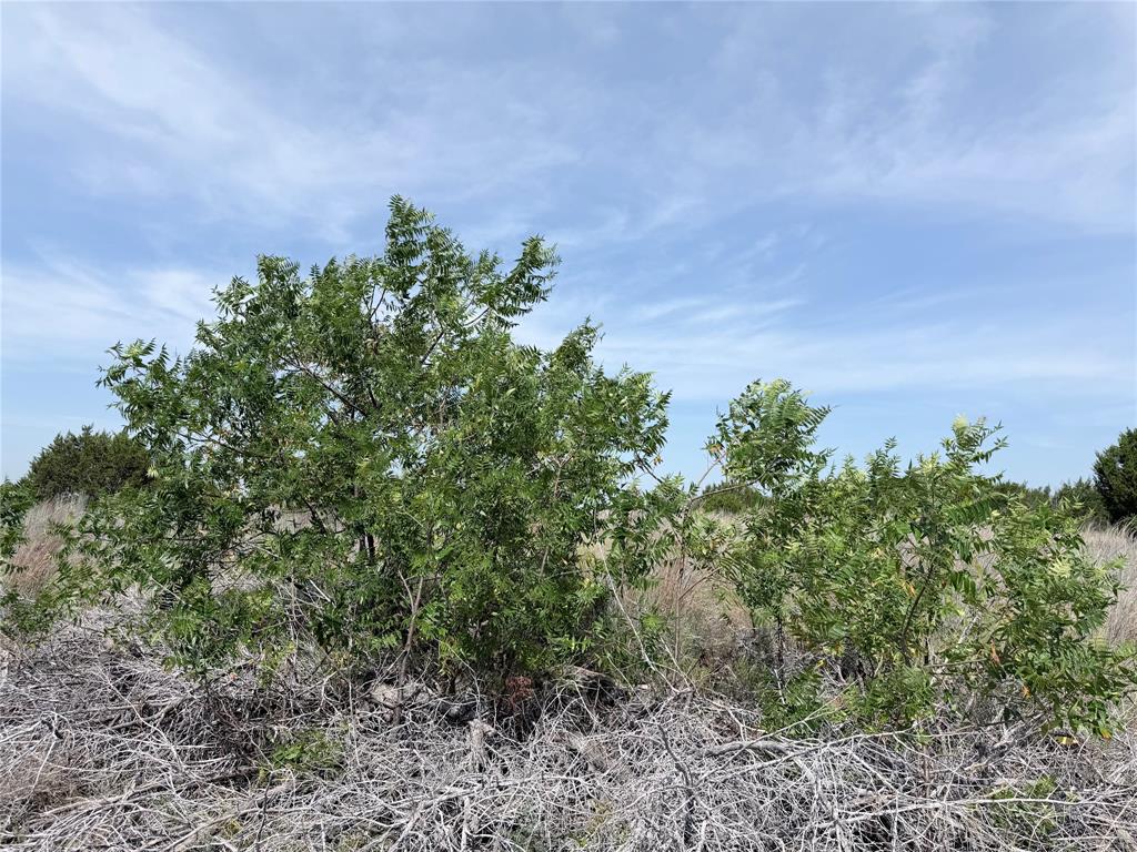 Tbd Lot 18 Mesa Lake Property Photo 7
