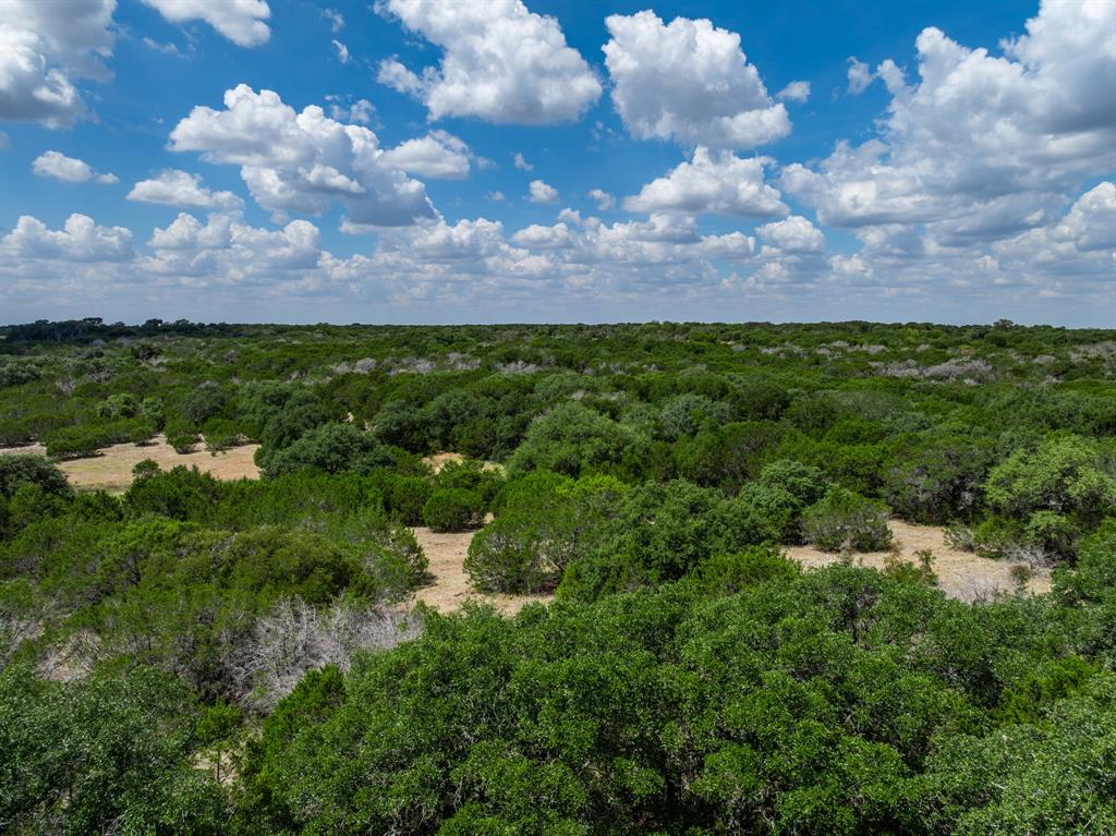 Tbd County Road 4125 Property Photo 18