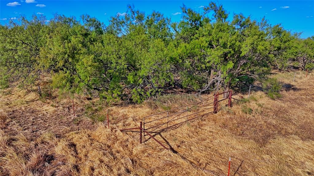 Tbd Fm 172 Property Photo 3