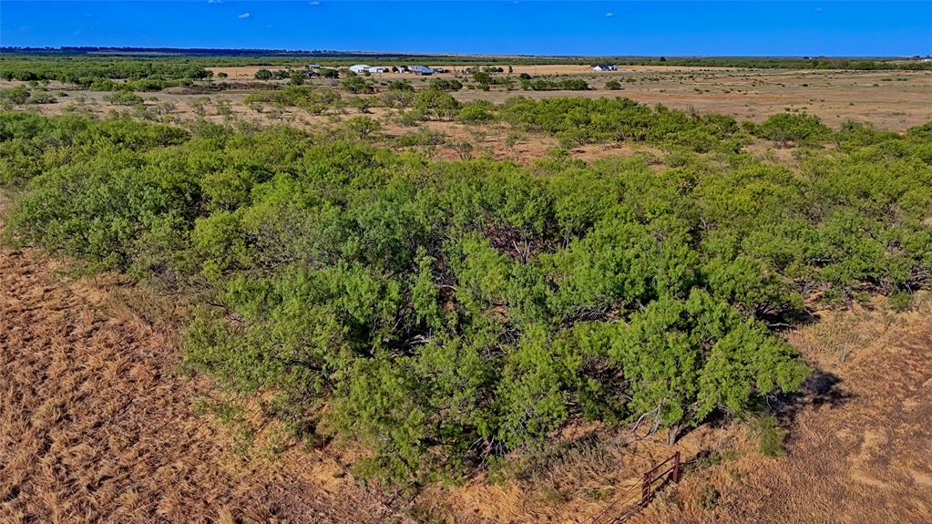Tbd Fm 172 Property Photo 4
