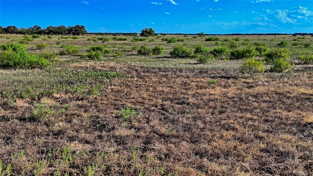 Tbd Fm 172 Property Photo 9