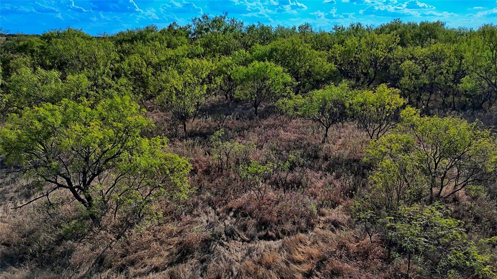 Tbd Fm 172 Property Photo 18