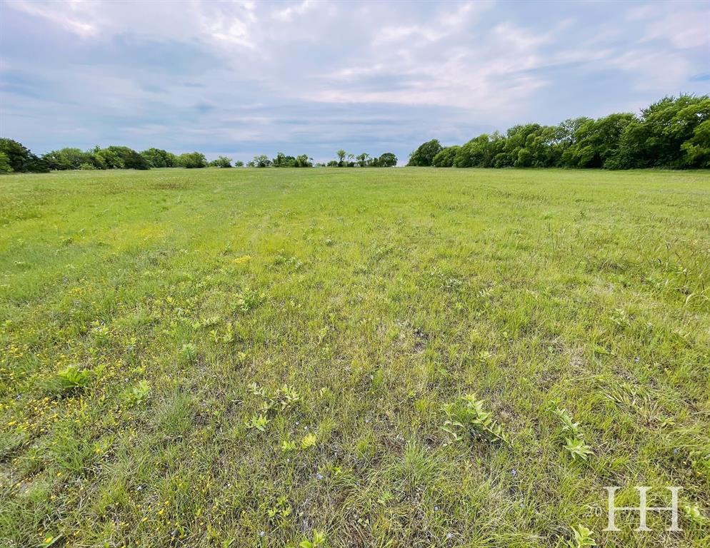 1387 Mcconnell Road Property Photo 11