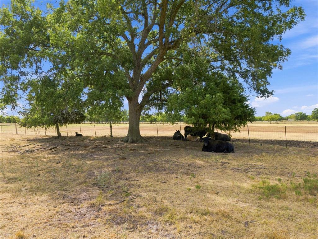 431 Fm 71 Property Photo 19