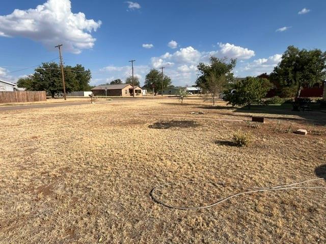 1001 N Mckinley Avenue Property Photo 16