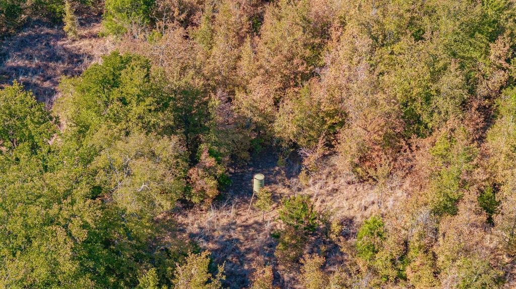 Tbd Cr 247 Property Photo 8