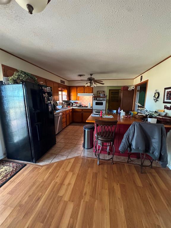 20 Elbert Heights Street Property Photo 7