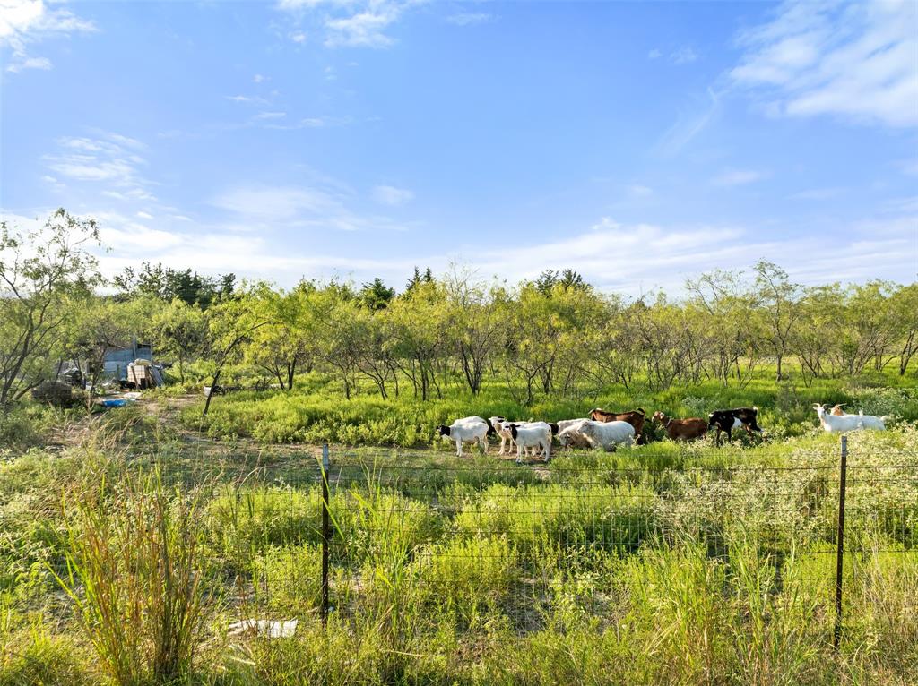 Tbd I-30 Frontage Road Property Photo 14
