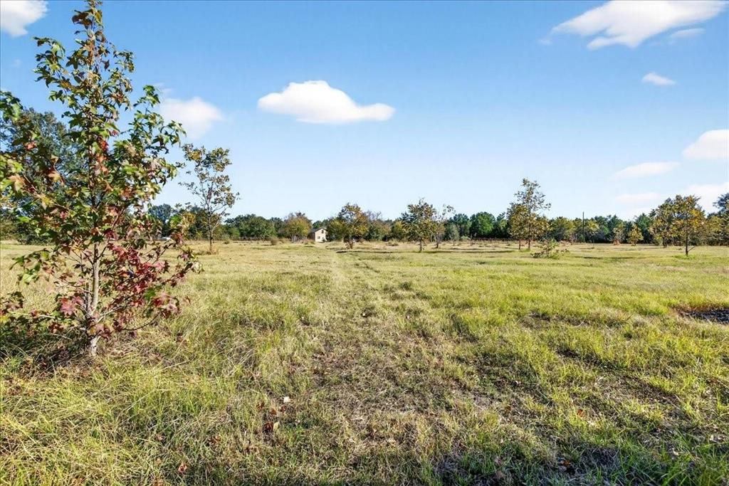 1603 Vz Cr 2908 Property Photo 24
