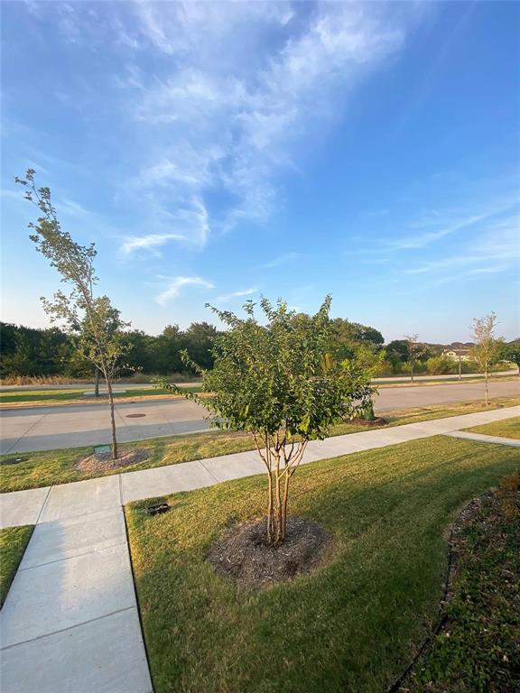 7297 Sacaton Trail Property Photo 11