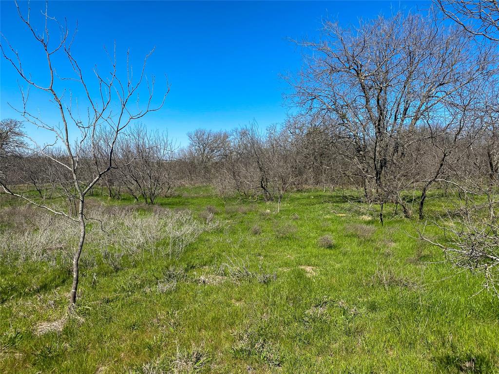 1700 Don Lee Road Property Photo 1