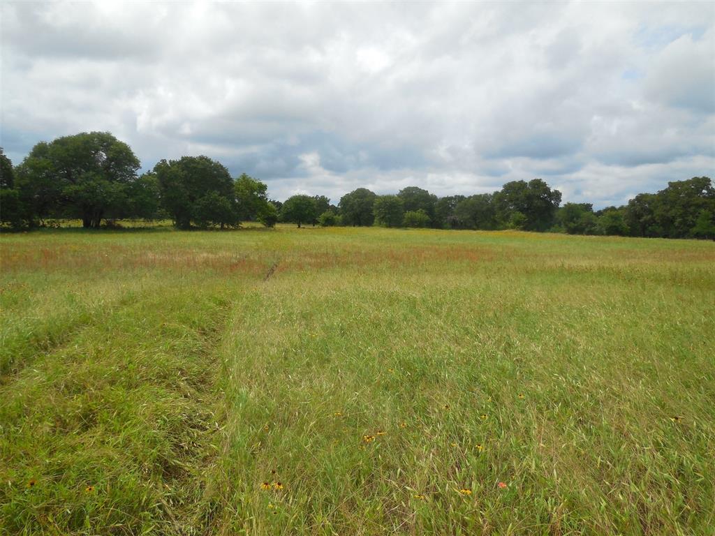 Tbd County Road 488 Property Photo 1