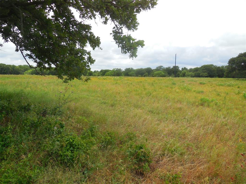 Tbd County Road 488 Property Photo 2