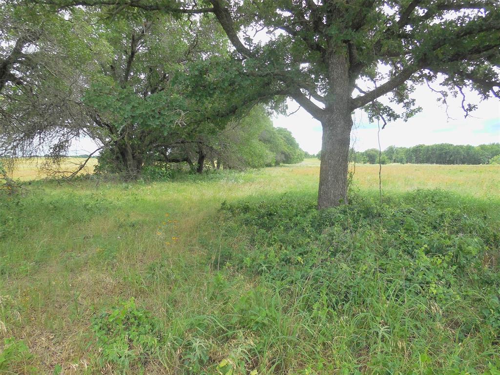 Tbd County Road 488 Property Photo 3