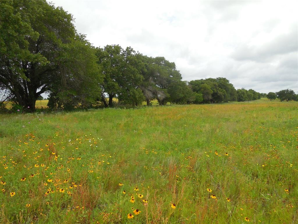 Tbd County Road 488 Property Photo 4