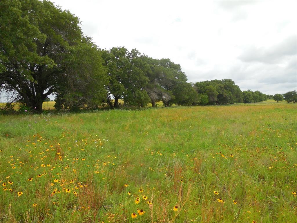 Tbd County Road 488 Property Photo 5