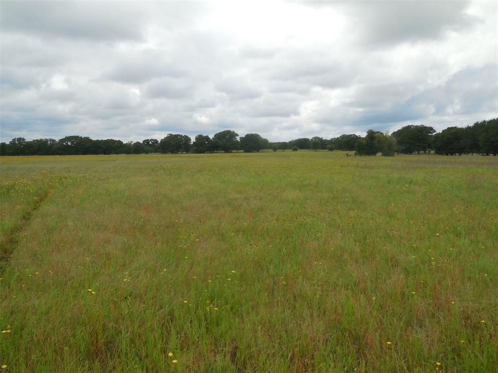 Tbd County Road 488 Property Photo 6