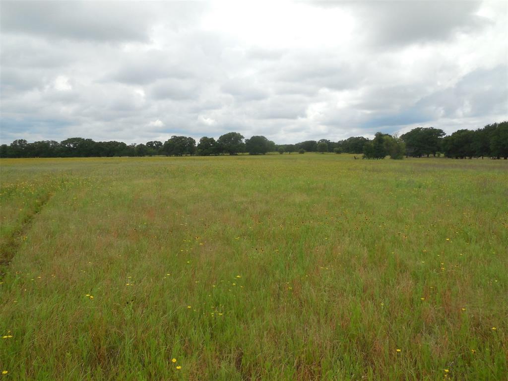 Tbd County Road 488 Property Photo 7