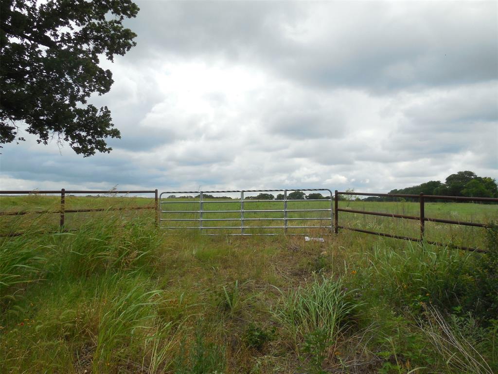 Tbd County Road 488 Property Photo 8