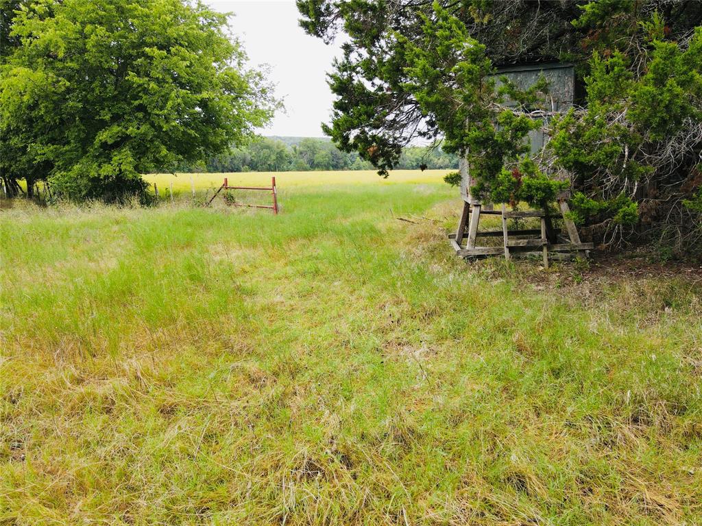Tbd Fm 215 Property Photo 1